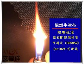 阻燃標準