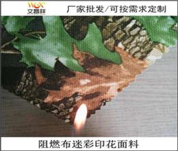 迷彩阻燃布廠(chǎng)家批發(fā)